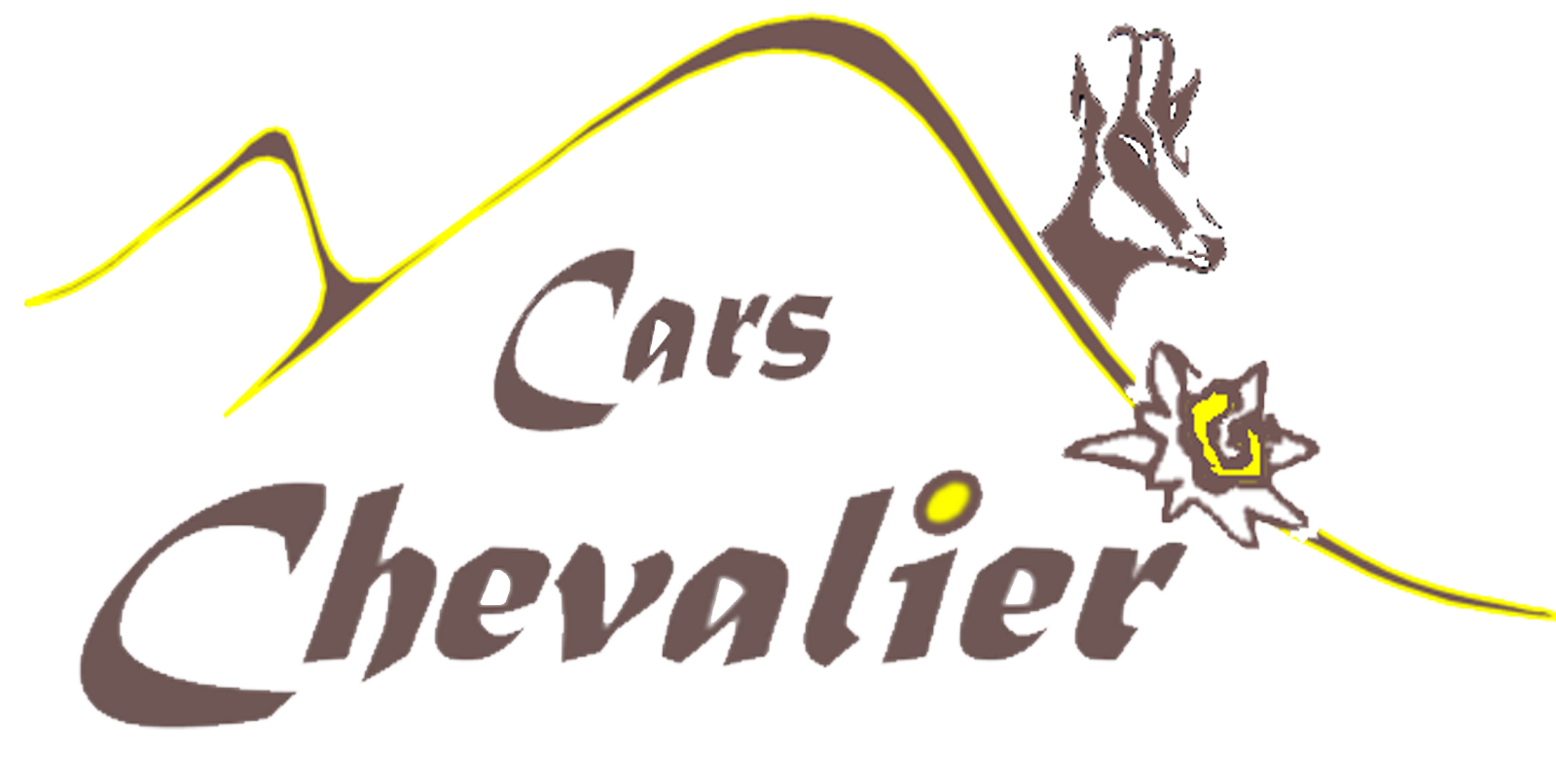 Cars Chevalier - Vous transporter dans les meilleures conditions